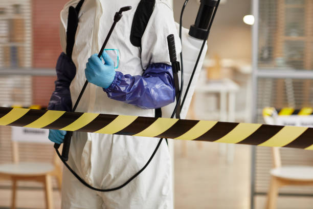 Professional Sewage Cleanup technician working in Palmyra, IN